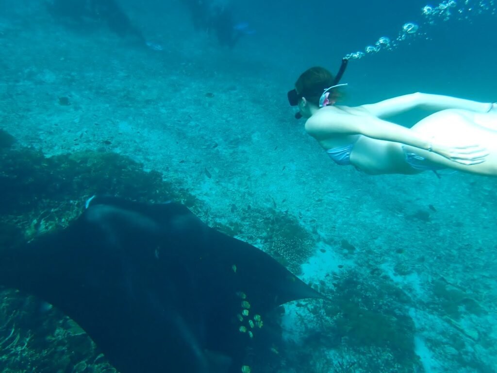 2 days komodo trip with manta ray