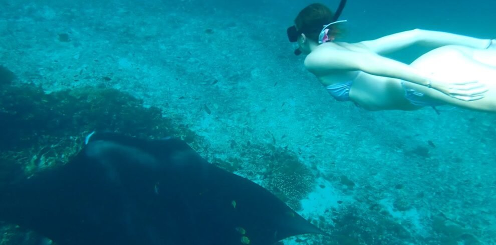2 days komodo trip with manta ray