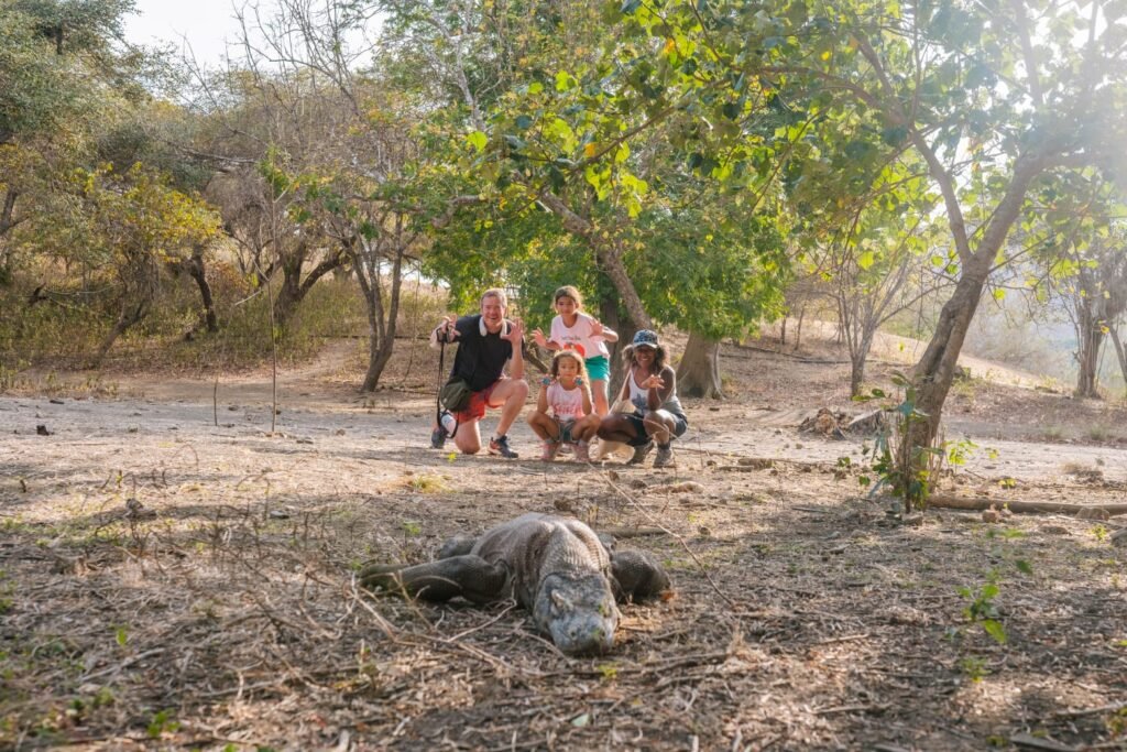 komodo island