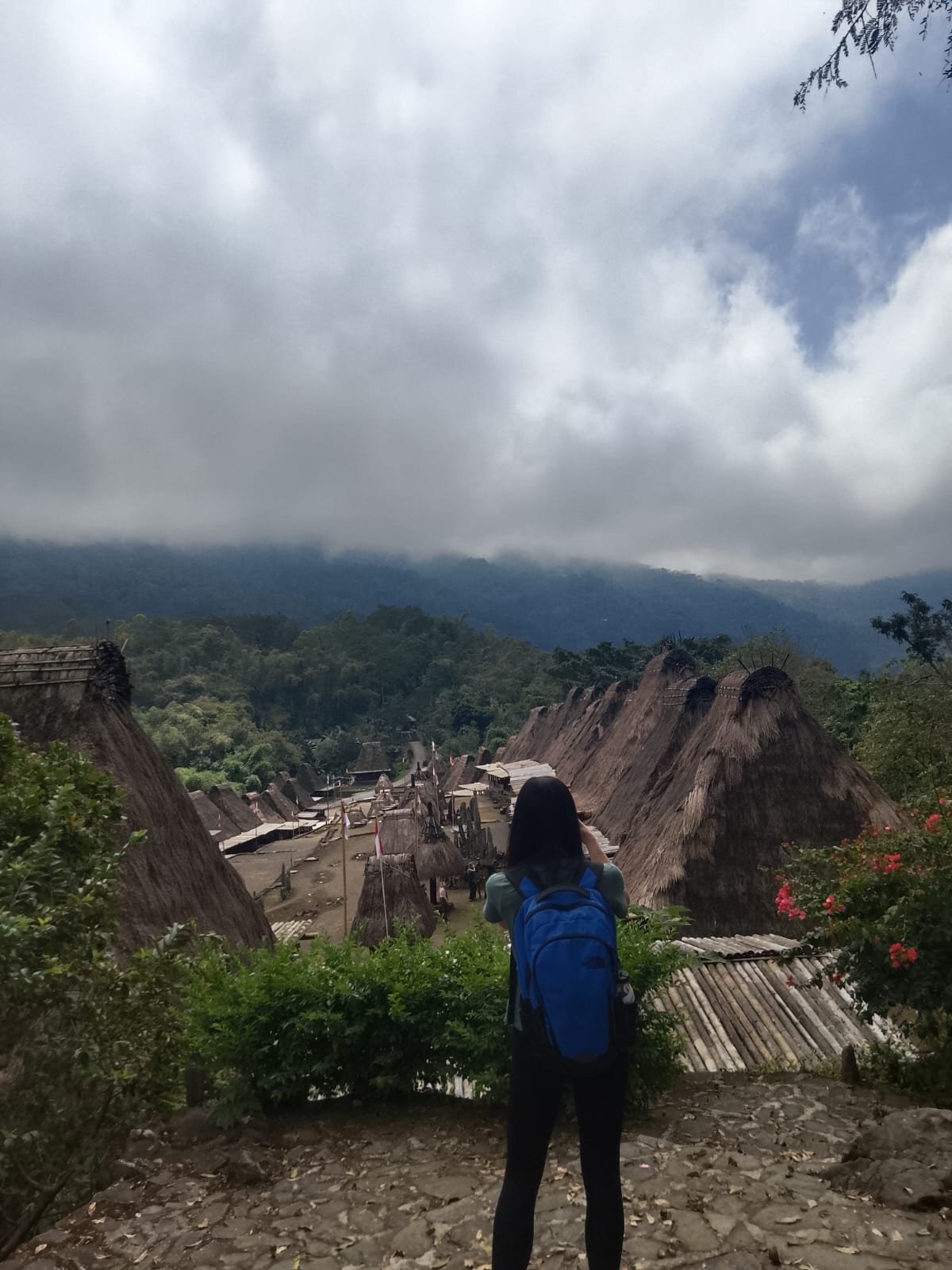 flores bena tour