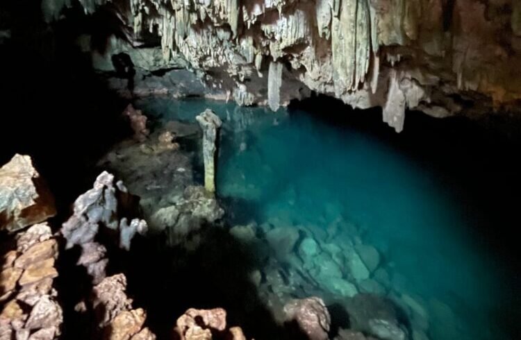 komodo labuan bajo tour