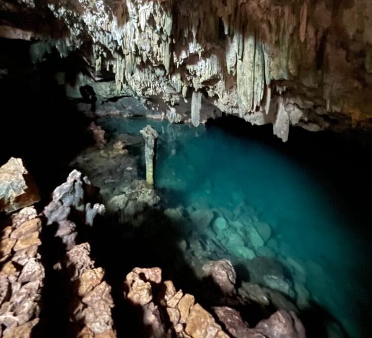 komodo labuan bajo tour